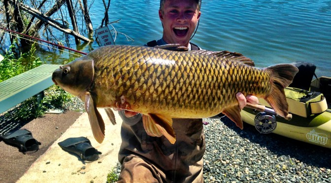 Summer Carpin’ in Colorado