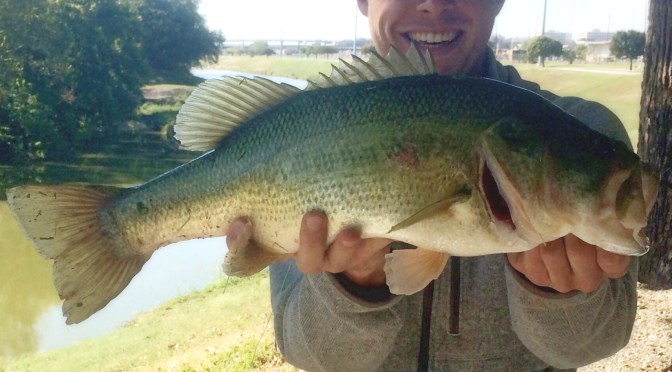 Channel Cats and Bass on the Trinity