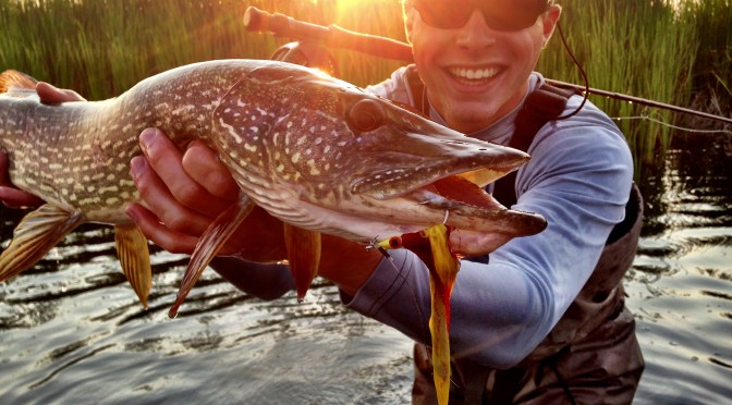 Colorado Pike on the Fly