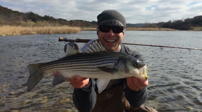 Stripping for Stripers