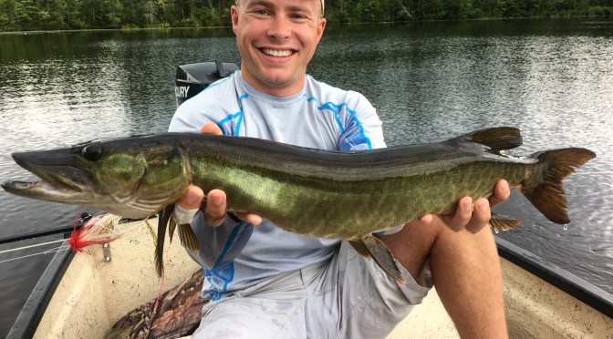 Return to the Northwoods