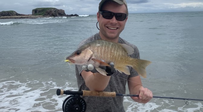 Palomas and Clousers