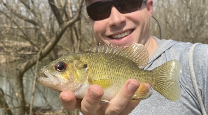 When Spring is Springin’!