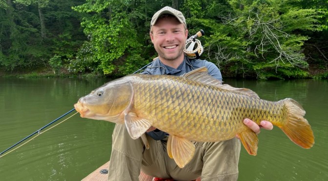 Carp – Never Out of Style