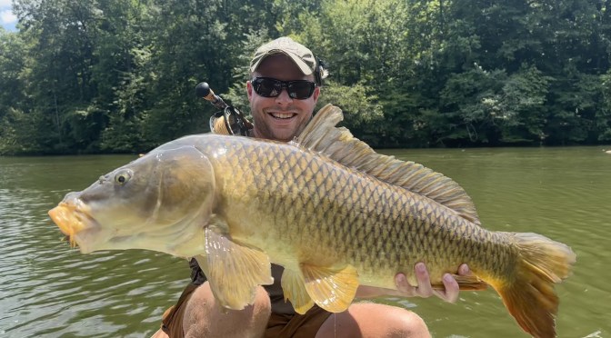 A Season Full of Gold