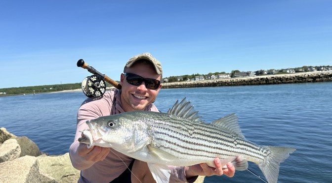 Long Weekend Stripers
