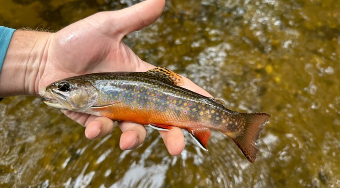 Six Miles for Six Inches